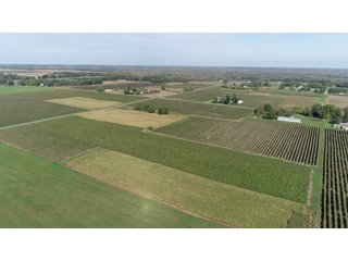 Van Buren County, Michigan Farmland - LAND AUCTION - 300+/- ACRES SPECIALTY CROP - GRAPES AND HOPS - OFFERED IN 8 TRACTS IN VAN BUREN COUNTY, MICHIGAN